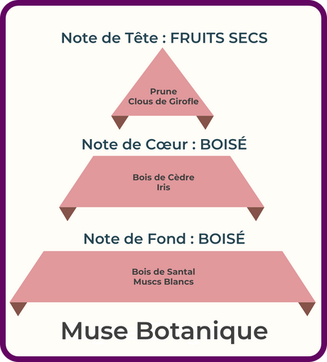 MB_V
